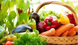 有机蔬菜爆料怎么做视频,揭秘视频制作全攻略